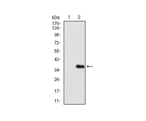 EM1709-19_2.jpg