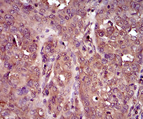 EM1709-19_4.jpg