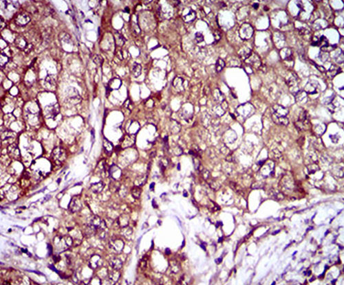 EM1709-19_5.jpg