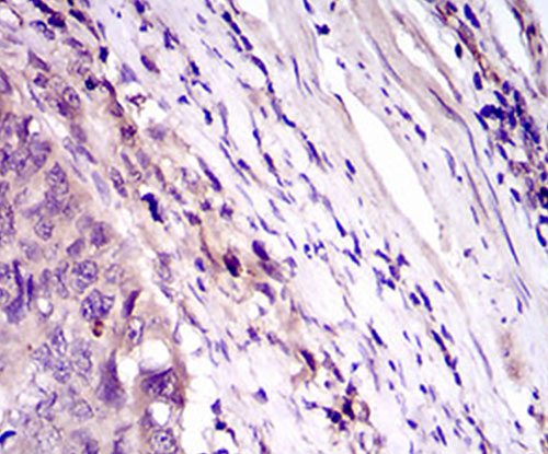 EM1709-20_3.jpg