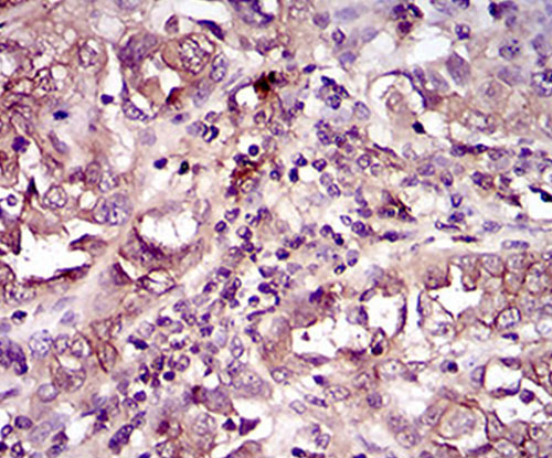 EM1709-20_4.jpg