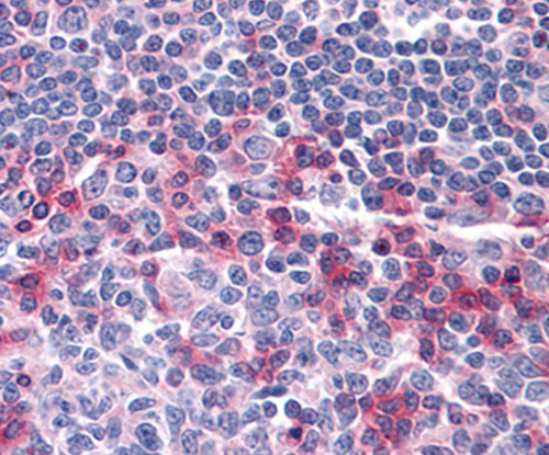 EM1709-21_2.jpg