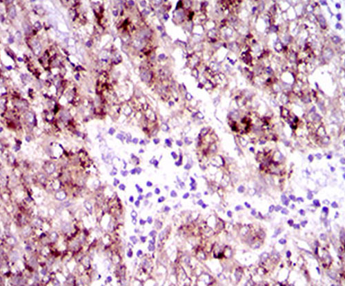 EM1709-22_3.jpg