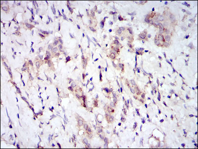 EM1709-88_3.jpg