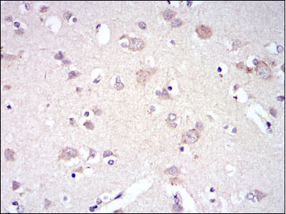 EM1709-88_4.jpg