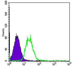 EM1709-88_5.jpg