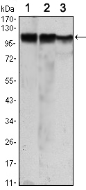 EM1710-04_1.jpg