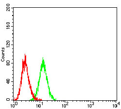 EM1710-47_5.jpg