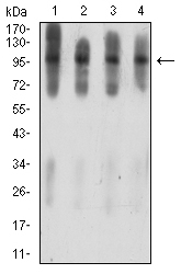 EM1711-76_3.jpg