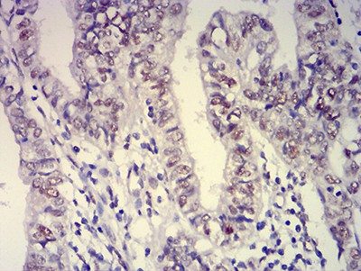 EM1711-76_4.jpg