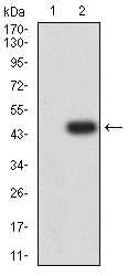 EM1712-22_2.jpg