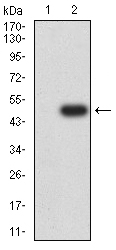 EM1712-23_2.jpg