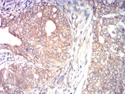 EM1712-23_3.jpg