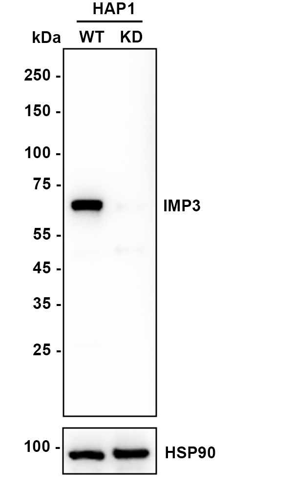 EM1801-01_2.jpg