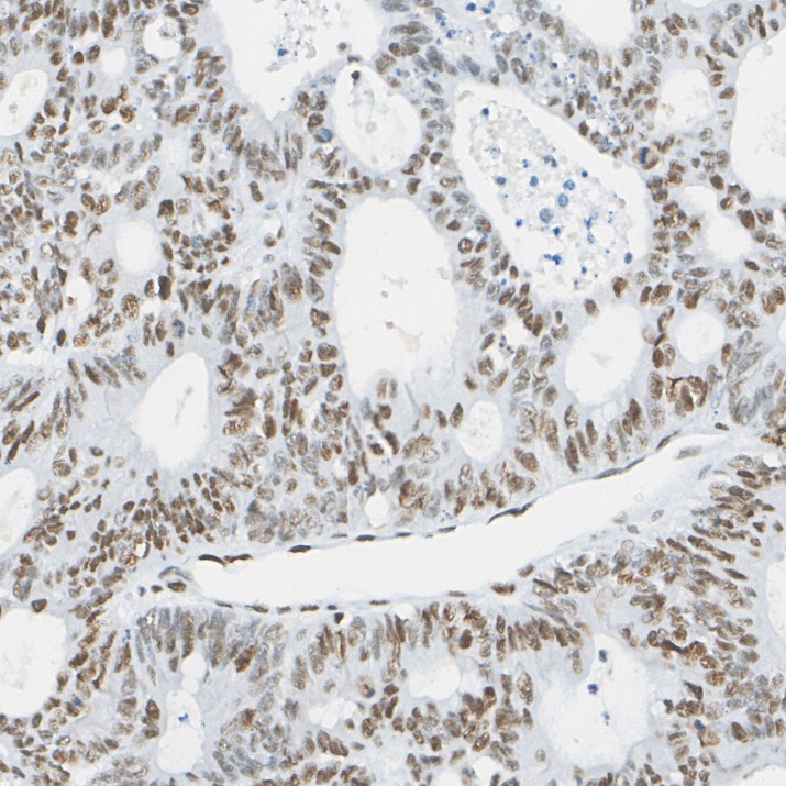 EM1801-04_7.jpg
