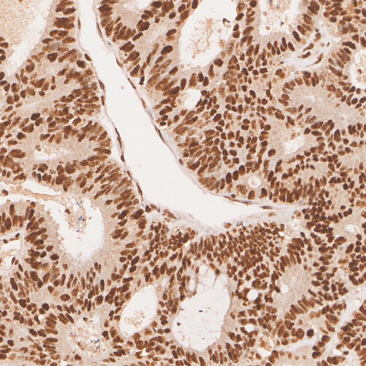 EM1801-04_8.jpg