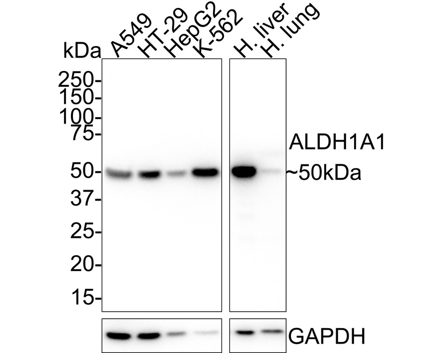 EM1801-07_1.jpg