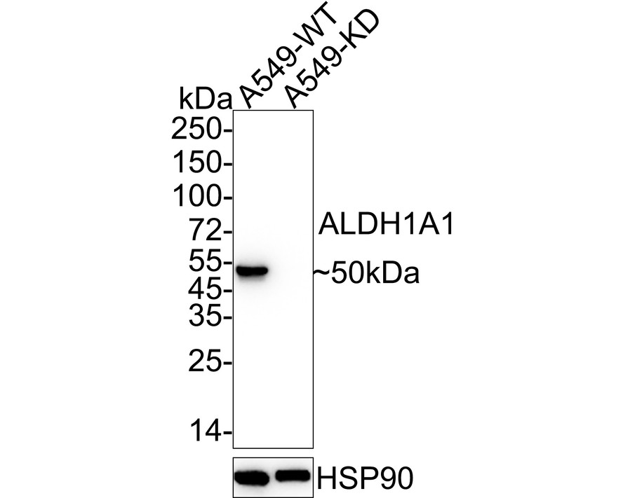 EM1801-07_2.jpg