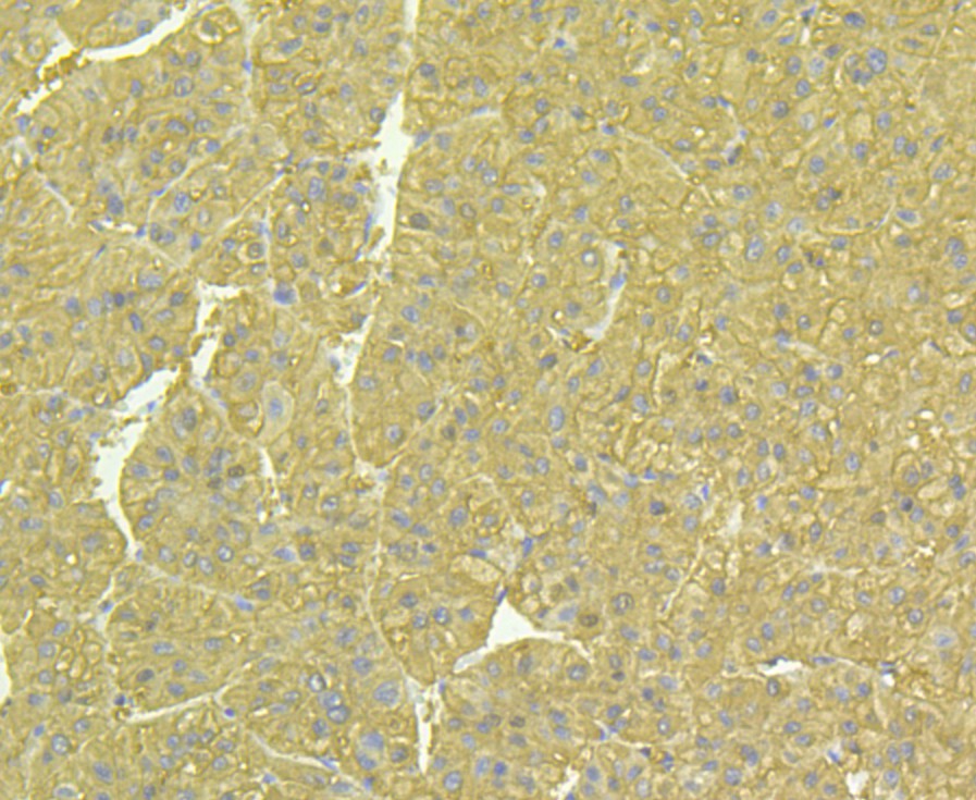 EM1801-07_5.jpg