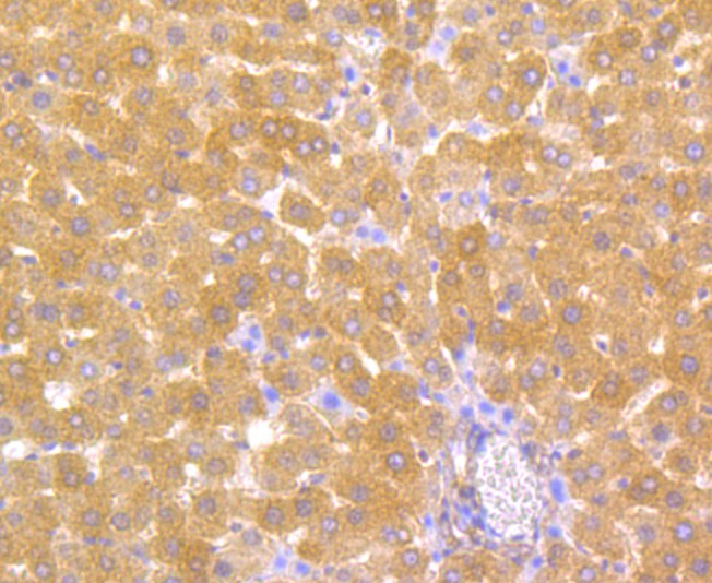 EM1801-08_5.jpg