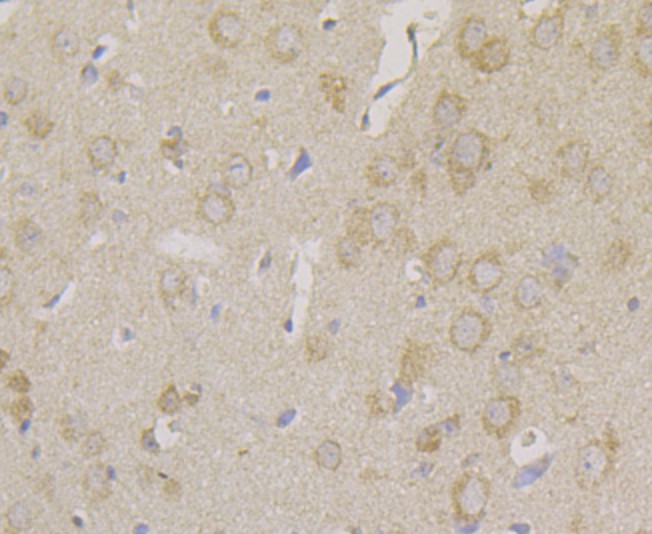 EM1801-08_9.jpg