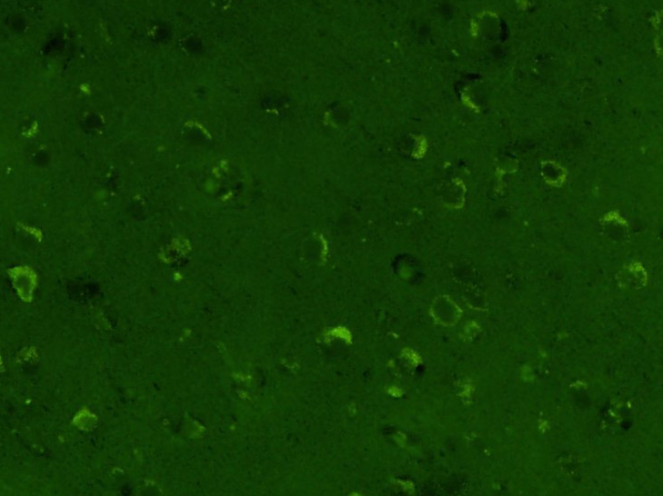 EM2001-03_10.jpg