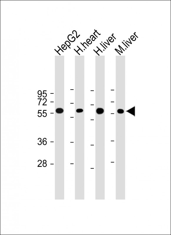 EM2001-10_1.jpg