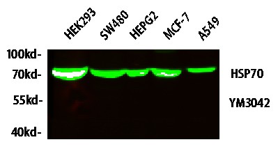 EM60062_1.jpg
