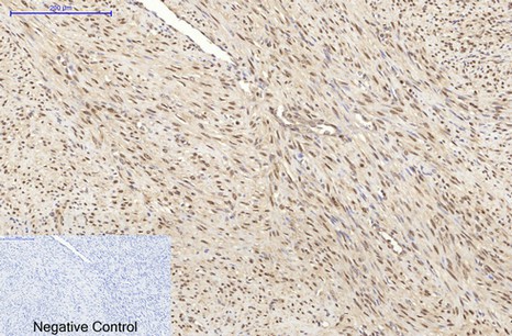 EM60062_3.jpg