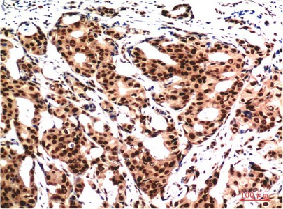 EM60128_2.jpg