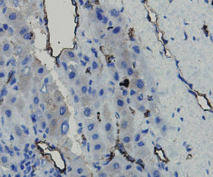 ER0802_4.jpg