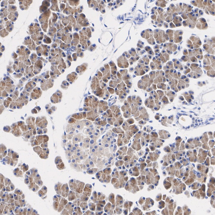 ER61893_6.jpg