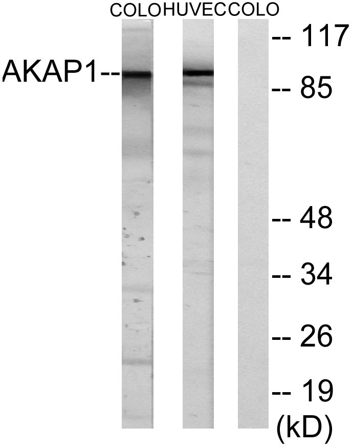 ER62630_2.jpg