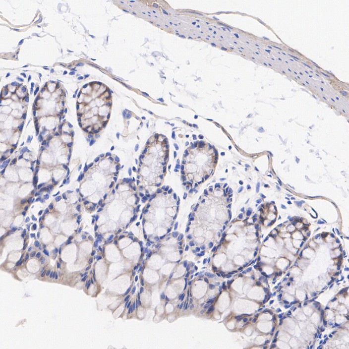 ER62856_5.jpg