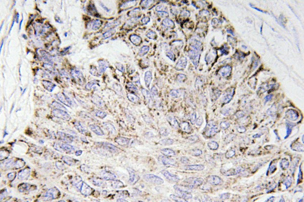 ER62908_2.jpg