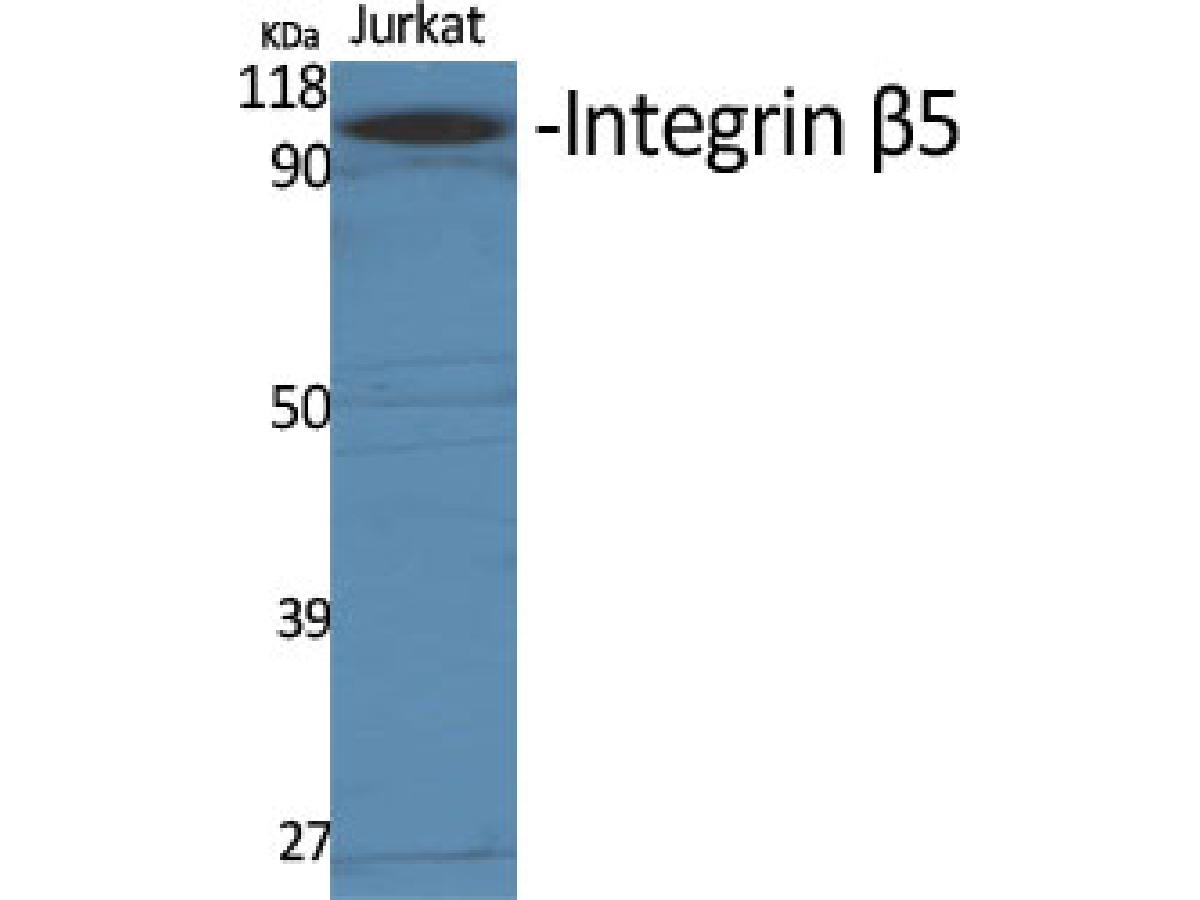 ER63768_1.jpg