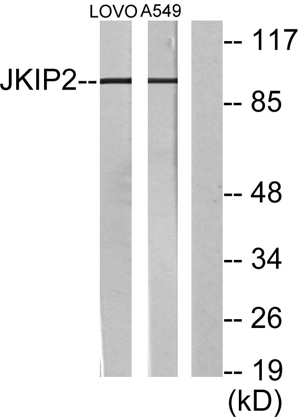 ER63784_1.jpg