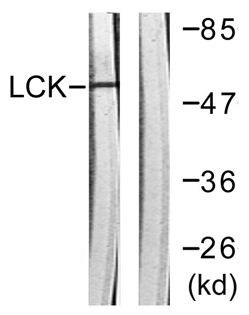 ER63849_1.jpg