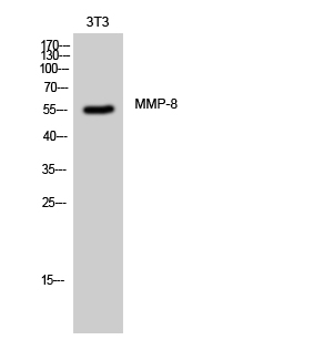 ER63980_1.jpg