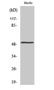 ER63984_2.jpg