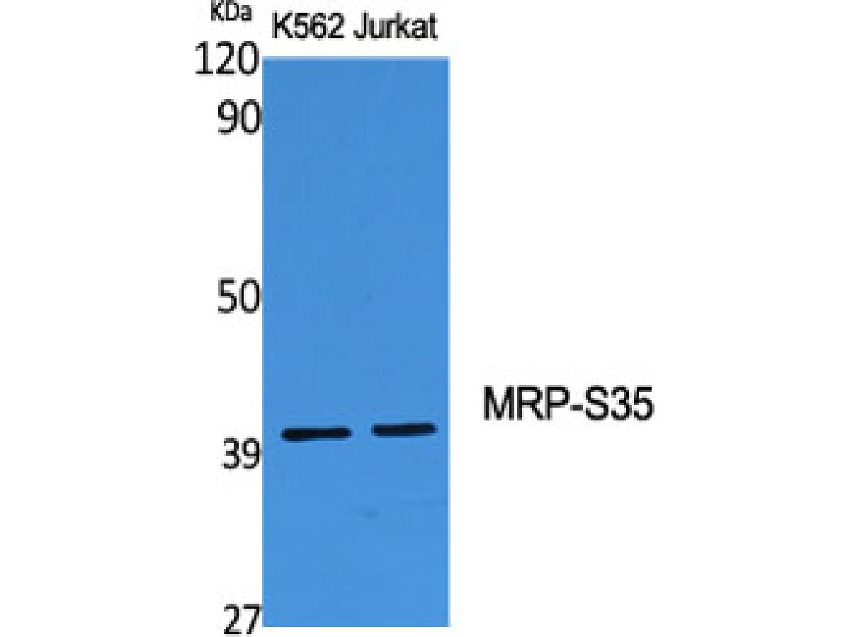 ER64056_1.jpg