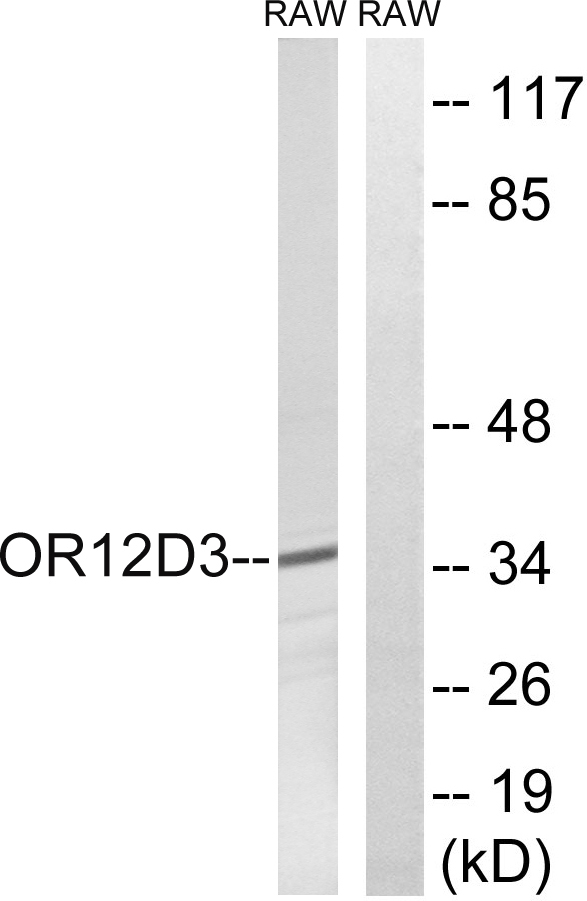 ER64292_1.jpg