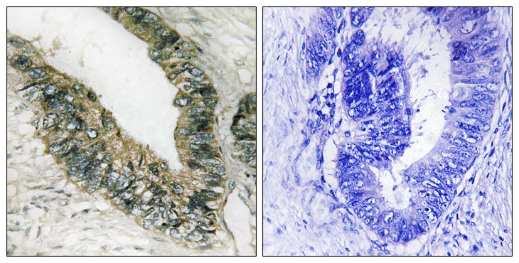 ER64553_2.jpg