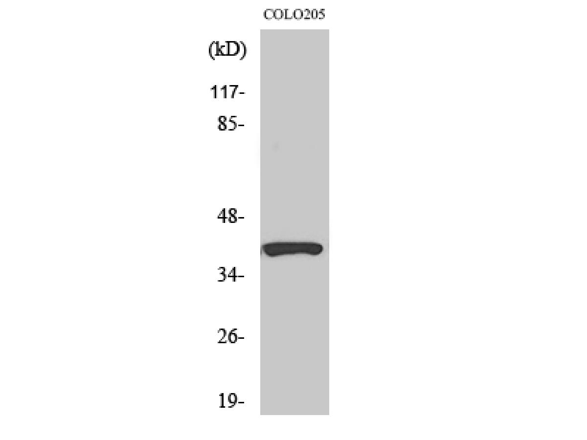 ER64589_1.jpg
