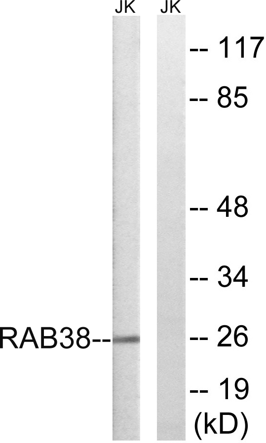 ER64723_1.jpg