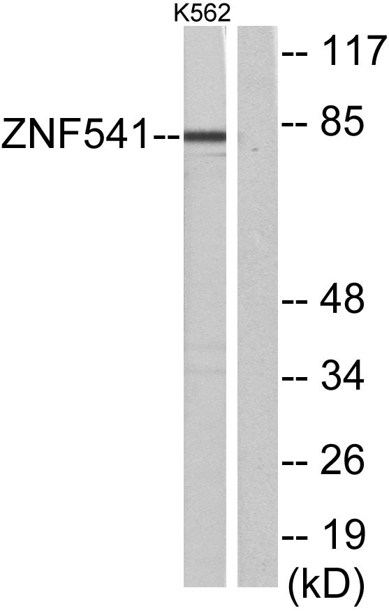 ER65363_1.jpg