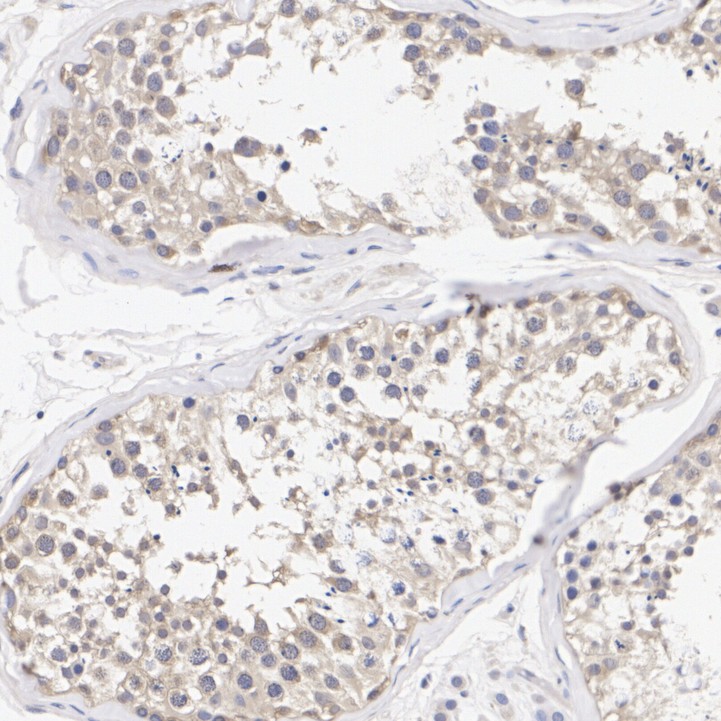 ER65466_2.jpg