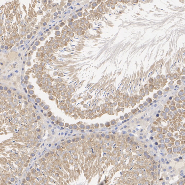 ER65466_4.jpg