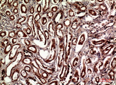 ER65629_2.jpg