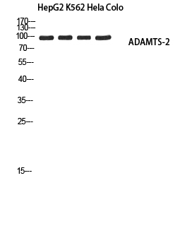 ER65670_1.jpg